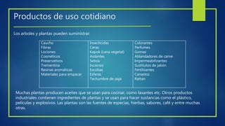 Productos de uso cotidiano
Caucho
Fibras
Lociones
Cosméticos
Preservativos
Trementina
Resinas aromáticas
Materiales para empacar
Insecticidas
Ceras
Kapok (Lana vegetal)
Aislantes
Sebos
Incienso
Escobas
Esferas
Techumbre de paja
Colorantes
Perfumes
Gomas
Ablandadores de carne
Impermeabilizantes
Sustitutos de jabón
Fertilizantes
Canastos
Rattan
Los arboles y plantas pueden suministrar:
Muchas plantas producen aceites que se usan para cocinar, como laxantes etc. Otros productos
industriales contienen ingredientes de plantas y se usan para hacer sustancias como el plástico,
películas y explosivos. Las plantas son las fuentes de especias, hierbas, sabores, café y entre muchas
otras.
 