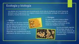 Ecología y biología
Las plantas son importantes para la preservación de la vida en el planeta así como fuente de
alimento y por la generación de oxigeno a través de la fotosíntesis, proteger los suelos de la
erosión y muchas funciones mas.
o Abejas
Las abejas son de suma importancia
para la vida en el planeta tierra porque
de ellas depende la polinización de las
plantas, el 70% de las especies de las
que se alimenta el ser humano
dependen casi completamente de la
polinización de estos y otros insectos.
o Hongos
Su sistema digestivo externo libera
enzimas digestivas para el medio
ambiente y luego se alimentan de las
moléculas dirigidas por estas.
Son los principales agentes
del reciclaje natural, si no
que las plantas obtienen de
sus raíces agua, nutrientes y
medicamentos.
 