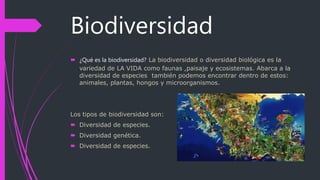 Biodiversidad
 ¿Qué es la biodiversidad? La biodiversidad o diversidad biológica es la
variedad de LA VIDA como faunas ,paisaje y ecosistemas. Abarca a la
diversidad de especies también podemos encontrar dentro de estos:
animales, plantas, hongos y microorganismos.
Los tipos de biodiversidad son:
 Diversidad de especies.
 Diversidad genética.
 Diversidad de especies.
 