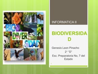BIODIVERSIDA
D
Genesis Leon Pinacho
2 “D”
Esc. Preparatoria No, 7 del
Estado
INFORMATICA II
1
 