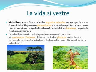 La vida silvestre
 Vida silvestre se refiere a todos los vegetales, animales y otros organismos no
domesticados. Organismos domesticados son aquellos que fueron adaptados
para sobrevivir con la ayuda de (o bajo el control de) los humanos, después de
muchas generaciones.
 La vida silvestre o vida salvaje puede ser encontrada en todos
los ecosistemas. Desiertos, florestas tropicales, planicies y otras áreas -
incluyendo las ciudades más desarrolladas- todas tienen distintas formas de
vida silvestre.
 