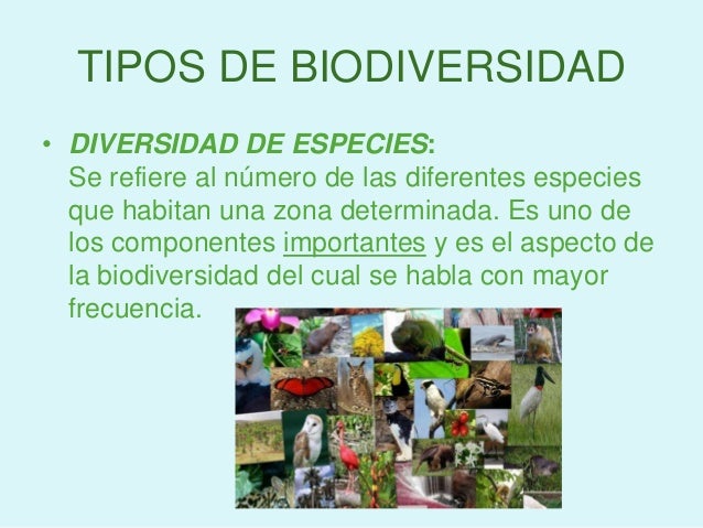 ¿Qué es la biodiversidad?