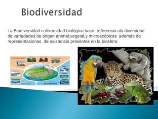 La Biodiversidad o diversidad biológica hace referencia ala diversidad
de variedades de origen animal,vegetal,y microscópicas además de
representaciones de existencia presentes en la biosfera
 