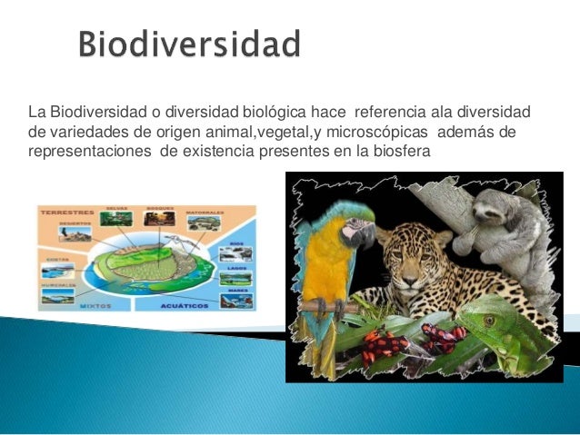 Biodiversidad-Ingri Padilla