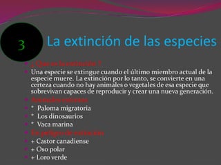 La extinción de las especies
 ¿ Que es la extinción ?
 Una especie se extingue cuando el último miembro actual de la
especie muere. La extinción por lo tanto, se convierte en una
certeza cuando no hay animales o vegetales de esa especie que
sobrevivan capaces de reproducir y crear una nueva generación.
 Animales extintos
 * Paloma migratoria
 * Los dinosaurios
 * Vaca marina
 En peligro de extinción
 + Castor canadiense
 + Oso polar
 + Loro verde
3
 