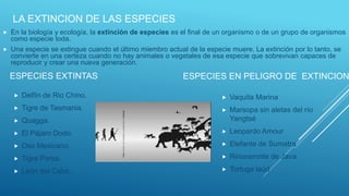 LA EXTINCION DE LAS ESPECIES
 En la biología y ecología, la extinción de especies es el final de un organismo o de un grupo de organismos
como especie toda.
 Una especie se extingue cuando el último miembro actual de la especie muere. La extinción por lo tanto, se
convierte en una certeza cuando no hay animales o vegetales de esa especie que sobrevivan capaces de
reproducir y crear una nueva generación.
ESPECIES EXTINTAS
 Delfín de Rio Chino.
 Tigre de Tasmania.
 Quagga.
 El Pájaro Dodo.
 Oso Mexicano.
 Tigre Persa.
 León del Cabo..
ESPECIES EN PELIGRO DE EXTINCION
 Vaquita Marina
 Marsopa sin aletas del río
Yangtsé
 Leopardo Amour
 Elefante de Sumatra
 Rinoceronte de Java
 Tortuga laúd
 
