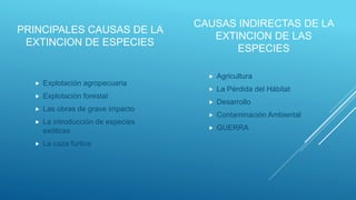 PRINCIPALES CAUSAS DE LA
EXTINCION DE ESPECIES
 Explotación agropecuaria
 Explotación forestal
 Las obras de grave impacto
 La introducción de especies
exóticas
 La caza furtiva
CAUSAS INDIRECTAS DE LA
EXTINCION DE LAS
ESPECIES
 Agricultura
 La Pérdida del Hábitat
 Desarrollo
 Contaminación Ambiental
 GUERRA
 