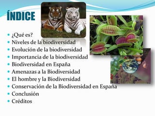 ÍNDICE
 ¿Qué es?
 Niveles de la biodiversidad
 Evolución de la biodiversidad
 Importancia de la biodiversidad
 Biodiv...