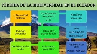> Diversidad
biológica
Posición
geográfica
Cordillera de los
Andes
Aislamiento
geográfico
Diferentes
grupos étnicos
20,000 plantas
vasculares
27%
Mamíferos
369-8,13%
Aves
1616-14y38%
Reptiles: 374
Anfibios: 411-
70%
Peces: 775D-600S
PÉRDIDA DE LA BIODIVERSIDAD EN EL ECUADOR
 
