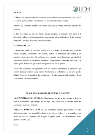 TGS
3.
ORIGEN
La interacción entre los diversos elementos que recubren la corteza terrestre (H2O, CO2,
N…) es lo que a permitido la existencia de toda la biodiversidad actual.
Además, los constantes cambios en la tierra es lo que le permite renovarse en todos los
aspectos.
Si bien la perdida de especies llama nuestra atención, la amenaza mas grave a la
diversidad biológica es la fragmentación, degradación y la perdida directa de los bosques,
humedales, arrecifes de coral y otros ecosistemas.
CONSECUENCIAS
La forma más visible de este daño ecológico es la extinción de animales tales como los
pandas, los tigres, los elefantes y las ballenas, debida a la destrucción de su hábitat y a la
cacería o captura excesiva. Sin embargo, otras especies menos llamativas, pero igual de
importantes también se encuentran en peligro. Como ejemplo, podemos mencionar a la
amplia gama de insectos que ayudan a la polinización de las plantas.
Todas estas cuestiones son agudizadas por los cambios atmosféricos y climáticos que
ocurren de manera global y que afectan directamente a los hábitats y a los seres que las
habitan. Todo ello desestabiliza los ecosistemas y debilita su capacidad para hacer frente
a los mismos desastres naturales.
“EL SER HUMANO ES EL PRINCIPAL CAUSANTE”
LA CONTAMINACIÓN DEAGUA.- Al contaminar un río, un lago, un mar, se destruye
toda la biodiversidad que alberga ese río, lago, mar, y con esto se destruye todos los
ecosistemas que estos albergan.
EXCESIVO CONSUMO DE AGUA.- El ser humano necesita gran cantidad de agua
diaria para realizar sus necesidades diarias y con esto me refiero : a la agricultura que
abarca un 75% del consumo total de agua, la higiene diaria , el abastecimiento de las
grandes ciudades , etc...
 