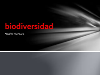 Neider morales
biodiversidad
 