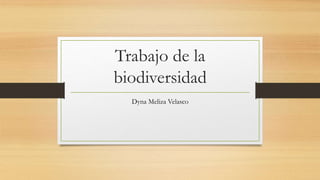 Trabajo de la
biodiversidad
Dyna Meliza Velasco
 