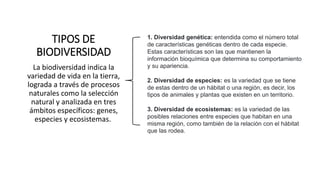TIPOS DE
BIODIVERSIDAD
La biodiversidad indica la
variedad de vida en la tierra,
lograda a través de procesos
naturales como la selección
natural y analizada en tres
ámbitos específicos: genes,
especies y ecosistemas.
1. Diversidad genética: entendida como el número total
de características genéticas dentro de cada especie.
Estas características son las que mantienen la
información bioquímica que determina su comportamiento
y su apariencia.
2. Diversidad de especies: es la variedad que se tiene
de estas dentro de un hábitat o una región, es decir, los
tipos de animales y plantas que existen en un territorio.
3. Diversidad de ecosistemas: es la variedad de las
posibles relaciones entre especies que habitan en una
misma región, como también de la relación con el hábitat
que las rodea.
 