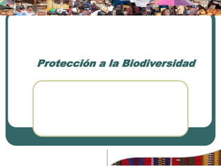 Protección a la Biodiversidad
 