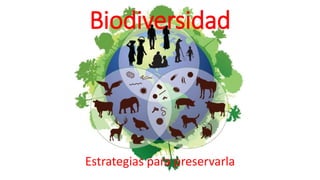 Biodiversidad
Estrategias para preservarla
 