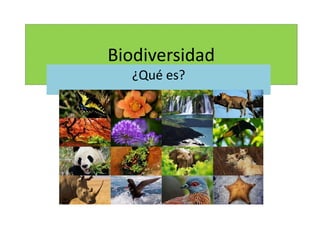 Biodiversidad
¿Qué es?
 