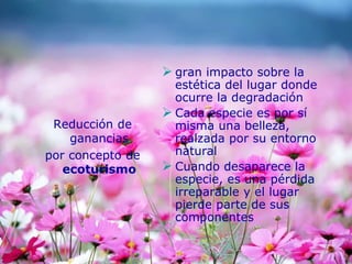 Reducción de
ganancias
por concepto de
ecoturismo
 gran impacto sobre la
estética del lugar donde
ocurre la degradación
 Cada especie es por sí
misma una belleza,
realzada por su entorno
natural
 Cuando desaparece la
especie, es una pérdida
irreparable y el lugar
pierde parte de sus
componentes
 