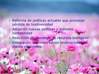  Reforma de políticas actuales que provocan
pérdida de biodiversidad
 Adopción nuevas políticas y métodos
contabilidad
 Reducción de demanda de recursos biológicos
 Integración de conservación biodiversidad en
planes nacionales
 