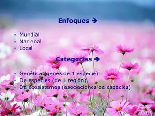 Enfoques 
• Mundial
• Nacional
• Local
Categorías 
• Genética (genes de 1 especie)
• De especies (de 1 región)
• De ecosistemas (asociaciones de especies)
 