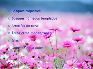 o Bosques tropicales
o Bosques húmedos templados
o Arrecifes de coral
o Áreas clima mediterráneo
o Islas
o Lagos de agua dulce
 