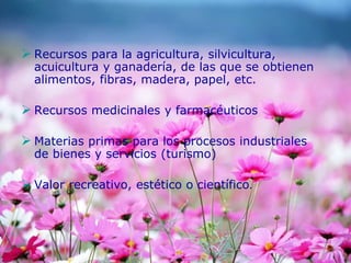  Recursos para la agricultura, silvicultura,
acuicultura y ganadería, de las que se obtienen
alimentos, fibras, madera, papel, etc.
 Recursos medicinales y farmacéuticos
 Materias primas para los procesos industriales
de bienes y servicios (turismo)
 Valor recreativo, estético o científico.
 