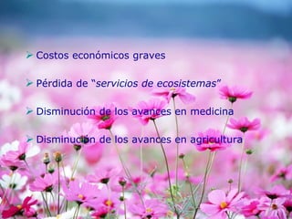  Costos económicos graves
 Pérdida de “servicios de ecosistemas”
 Disminución de los avances en medicina
 Disminución de los avances en agricultura
 