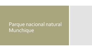 Parque nacional natural
Munchique
 