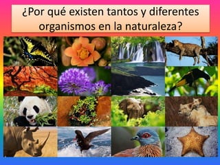 ¿Por qué existen tantos y diferentes
organismos en la naturaleza?
 