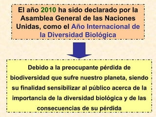 El año  2010  ha sido declarado por la Asamblea General de las Naciones Unidas, como el  Año Internacional de la Diversidad Biológica Debido a la preocupante pérdida de biodiversidad que sufre nuestro planeta, siendo su finalidad sensibilizar al público acerca de la importancia de la diversidad biológica y de las consecuencias de su pérdida 