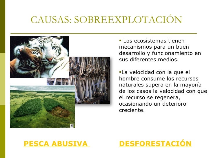 Pérdida de la biodiversidad