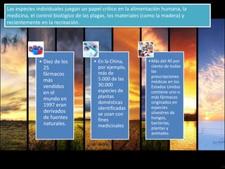 ¿Cuál es el valor económico de la biodiversidad?Las especies individuales juegan un papel crítico en la alimentación humana, la
medicina, el control biológico de las plagas, los materiales (como la madera) y
recientemente en la recreación.
• Diez de los
25
fármacos
más
vendidos
en el
mundo en
1997 eran
derivados
de fuentes
naturales.
• En la China,
por ejemplo,
más de
5.000 de las
30.000
especies de
plantas
domésticas
identificadas
se usan con
fines
medicinales
•Más del 40 por
ciento de todas
las
prescripciones
médicas en los
Estados Unidos
contiene uno o
más fármacos
originados en
especies
silvestres de
hongos,
bacterias,
plantas y
animales.
 