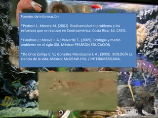 Fuentes de información
*Pedroni L. Morera M. (2002). Biodiversidad el problema y los
esfuerzos que se realizan en Centroamérica. Costa Rica: Ed. CATIE.
*Carabias J.; Meave J. A.; Valverde T.. (2009). Ecología y medio
ambiente en el siglo XXI. México: PEARSON EDUCACIÓN
*De Erice Zúñiga E. V.; González Mandujano J. A . (2008). BIOLOGÍA La
ciencia de la vida. México: McGRAW-HILL / INTERAMERICANA.
 