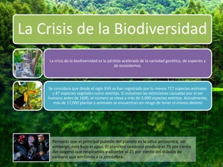 La Crisis de la Biodiversidad
La crisis de la biodiversidad es la pérdida acelerada de la variedad genética, de especies y
de ecosistemas.
Se considera que desde el siglo XVII se han registrado por lo menos 717 especies animales
y 87 especies vegetales como extintas. Si incluimos las extinciones causadas por el ser
humano antes de 1600, el número se eleva a más de 2,000 especies extintas. Actualmente,
más de 17,000 plantas y animales se encuentran en riesgo de tener el mismo destino
Pensarás que el principal pulmón del planeta es la selva amazónica, sin
embargo, está bajo el agua. El plancton oceánico produce el 75 por ciento
del oxígeno que respiramos y absorbe el 25 por ciento del dióxido de
carbono que emitimos a la atmósfera.
 
