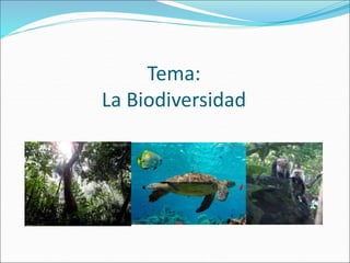 Tema:
La Biodiversidad
 