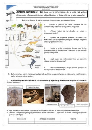INSTITUCIÓN EDUCATIVA SAN FRANCISCO DE ASÍS
AREA DE CIENCIAS NATURALES Y MATEMÁTICAS
GRADO OCTAVO
ACTIVIDAD INDIVIDUAL I: Con base en la información de la guía, los videos
observados y los conocimientos adquiridos con el desarrollo de la guía, resuelve:
1. Realiza un glosario de los terminos que desconozcas y busca su significado.
2. Analiza la gráfica del árbol evolutivo de los
vertebrados y responde las siguientes preguntas:
A. ¿Tienen todos los vertebrados un origen o
antepasado común?
B. Quiénes se originaron primero ¿las aves o los
mamíferos? ¿en qué periodo geológico y tiempo surgieron
ambos grupos de animales?
C. Indica el orden cronológico de aparición de los
grandes grupos de vertebrados. Especifica en qué periodo
geológico surgieron
D. ¿qué grupos de vertebrados tiene una conexión
más cercana a los dinosaurios?
E. ¿hace cuánto tiempo y en qué periodo geológico se
extinguieron los dinosaurios?
F. Determina hace cuánto tiempo y en qué periodo geológico la especie humana se independizo evolutivamente
de los primates (micos, simios.)
3. Un paleontólogo encontró fósiles de restos animales y vegetales y necesita que le ayudes a establecer
algunas conclusiones
A. ¿Qué ambientes representan cada uno de los fósiles? ¿cómo era su hábitat? ¿cómo se alimentaban
B. ¿durante cuál período geológico primaron los seres fosilizados? Organízalos en orden cronológico (periodo
geológico y tiempo)
ORGANISMO PERIODO GEOLÓGICO TIEMPO
ANFIBIO PRIMITIVO TIRANOSAURIO
Diente de tiburón
Helecho arborescente
Flor de angiosperma
 