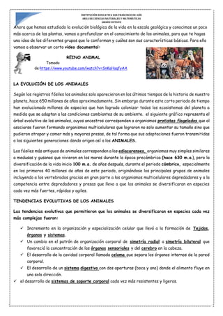 INSTITUCIÓN EDUCATIVA SAN FRANCISCO DE ASÍS
AREA DE CIENCIAS NATURALES Y MATEMÁTICAS
GRADO OCTAVO
Ahora que hemos estudiado la evolución biológica de la vida en la escala geológica y conocimos un poco
más acerca de las plantas, vamos a profundizar en el conocimiento de los animales, para que te hagas
una idea de los diferentes grupos que lo conforman y cuáles son sus características básicas. Para ello
vamos a observar un corto video documental:
REINO ANIMAL
Tomado
de:https://www.youtube.com/watch?v=SnKaHaqfyAA
LA EVOLUCIÓN DE LOS ANIMALES
Según los registros fósiles los animales solo aparecieron en los últimos tiempos de la historia de nuestro
planeta, hace 650 millones de años aproximadamente. Sin embargo durante este corto periodo de tiempo
han evolucionado millones de especies que han logrado colonizar todos los ecosistemas del planeta a
medida que se adaptan a las condiciones cambiantes de su ambiente. el siguiente gráfico representa el
árbol evolutivo de los animales, cuyos ancestros corresponden a organismos protistas flagelados que al
asociarse fueron formando organismos multicelulares que lograron no solo aumentar su tamaño sino que
pudieron atrapar y comer más y mayores presas, de tal forma que sus adaptaciones fueron transmitidas
a las siguientes generaciones dando origen así a los ANIMALES.
Los fósiles más antiguos de animales corresponden a los ediacarenses, organismos muy simples similares
a medusas y gusanos que vivieron en los mares durante la época precámbrica (hace 630 m.a.), pero la
diversificación de la vida inicio 100 m.a. de años después, durante el periodo cámbrico, especialmente
en los primeros 40 millones de años de este periodo, originándose los principales grupos de animales
incluyendo a los vertebrados gracias en gran parte a los organismos multicelulares depredadores y a la
competencia entre depredadores y presas que llevo a que los animales se diversificaran en especies
cada vez más fuertes, rápidas y agiles.
TENDENCIAS EVOLUTIVAS DE LOS ANIMALES
Las tendencias evolutivas que permitieron que los animales se diversificaran en especies cada vez
más complejas fueron:
 Incremento en la organización y especialización celular que llevó a la formación de Tejidos,
órganos y sistemas.
 Un cambio en el patrón de organización corporal de simetría radial a simetría bilateral que
favoreció la concentración de los órganos sensoriales y del cerebro en la cabeza.
 El desarrollo de la cavidad corporal llamada celoma que separa los órganos internos de la pared
corporal.
 El desarrollo de un sistema digestivo con dos aperturas (boca y ano) donde el alimento fluye en
una sola dirección.
 el desarrollo de sistemas de soporte corporal cada vez más resistentes y ligeros.
 