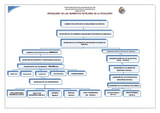 INSTITUCIÓN EDUCATIVA SAN FRANCISCO DE ASÍS
AREA DE CIENCIAS NATURALES Y MATEMÁTICAS
GRADO OCTAVO
CRONOLOGÍA DE LOS MOMENTOS ESTELARES DE LA EVOLUCIÓN
 