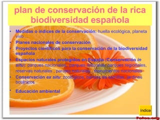 plan de conservación de la rica biodiversidad española Medidas o índices de la conservación:  huella ecológica, planeta vivo… Planes nacionales de conservación   Proyectos científicos para la conservación de la biodiversidad española   Espacios naturales protegidos en España  ( Conservación  in situ ): parques nacionales ,  parques naturales, parques regionales, reservas naturales , parajes naturales , monumentos nacionales   Conservación  ex situ : zoológicos, bancos de semillas, jardines botánicos Educación ambiental   índice 