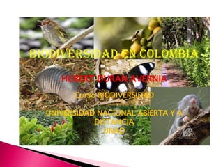 BIODIVERSIDAD EN COLOMBIA
     HUBERT DURAN AVERNIA
        Curso BIODIVERSIDAD

  UNIVERSIDAD NACIONAL ABIERTA Y A
             DISTANCIA
               UNAD
 