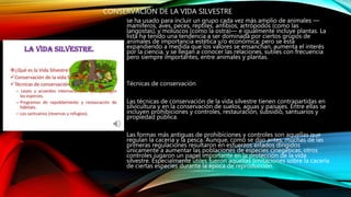 CONSERVACIÓN DE LA VIDA SILVESTRE
se ha usado para incluir un grupo cada vez más amplio de animales —
mamíferos, aves, peces, reptiles, anfibios, artrópodos (como las
langostas), y moluscos (como la ostra)— e igualmente incluye plantas. La
lista ha tenido una tendencia a ser dominada por ciertos grupos de
animales de importancia estética y/o económica; pero se está
expandiendo a medida que los valores se ensanchan, aumenta el interés
por la ciencia, y se llegan a conocer las relaciones, sutiles con frecuencia
pero siempre importantes, entre animales y plantas.
Técnicas de conservación
Las técnicas de conservación de la vida silvestre tienen contrapartidas en
silvicultura y en la conservación de suelos, aguas y paisajes. Entre ellas se
incluyen prohibiciones y controles, restauración, subsidio, santuarios y
propiedad pública.
Las formas más antiguas de prohibiciones y controles son aquellas que
regulan la cacería y la pesca. Aunque, como se dijo antes, muchas de las
primeras regulaciones resultaron en esfuerzos errados dirigidos
únicamente a aumentar las poblaciones de especies cinegéticas, otros
controles jugaron un papel importante en la protección de la vida
silvestre. Especialmente útiles fueron aquellas limitaciones sobre la cacería
de ciertas especies durante la época de reproducción.
 