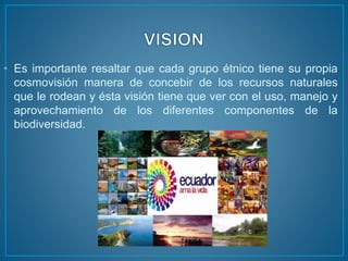 • Es importante resaltar que cada grupo étnico tiene su propia
cosmovisión manera de concebir de los recursos naturales
que le rodean y ésta visión tiene que ver con el uso, manejo y
aprovechamiento de los diferentes componentes de la
biodiversidad.
 