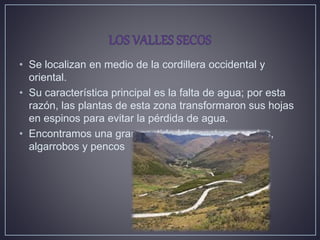 • Se localizan en medio de la cordillera occidental y
oriental.
• Su característica principal es la falta de agua; por esta
razón, las plantas de esta zona transformaron sus hojas
en espinos para evitar la pérdida de agua.
• Encontramos una gran cantidad de cactos, acacias,
algarrobos y pencos
 
