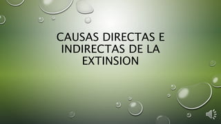 CAUSAS DIRECTAS E
INDIRECTAS DE LA
EXTINSION
 