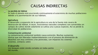 CAUSAS INDIRECTAS
La perdida de hábitat
En todo el planeta está ocurriendo continuamente el exterminio de muchas poblaciones
debido a la pavimentación de sus hábitats.
Agricultura
El desarrollo y expansión de la agricultura es uno de la fuente más severa de
destrucción de hábitat. A veces, ecosistemas naturales completos son convertidos en
campos de cultivo donde solamente se cultiva una o pocas especies. Así se pierde la
diversidad de poblaciones.
Contaminación ambiental
La contaminación ambiental también causa extinción. Muchas sustancias
tóxicas que son liberadas inadvertidamente o en el proceso de eliminación de
desechos son muy similares a los pesticidas, con impactos los sistemas
vivientes. similares sobre
El desarrollo
Los bosques están siendo cortados en todas partes
del mundo.
 