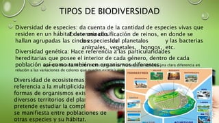 TIPOS DE BIODIVERSIDAD
Diversidad de especies: da cuenta de la cantidad de especies vivas que
residen en un hábitat determinado.
los
animales,
los
vegetales,
los
hongos,
y las bacterias
etc.
Diversidad genética: Hace referencia a las particularidades
hereditarias que posee el interior de cada género, dentro de cada
población así como también en organismos diferentes;
Diversidad de ecosistemas: En
referencia a la multiplicidad de
formas de organismos existentes en
diversos territorios del planeta. Se
pretende estudiar la complejidad que
se manifiesta entre poblaciones de
otras especies y su hábitat.
Existe una clasificación de reinos, en donde se
hallan agrupadas las cinco especies del planeta:
(ejemplo de esto, el color de los ojos del ser humano, se observa una clara diferencia en
relación a las variaciones de colores que pueden existir.)
 