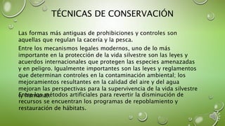 TÉCNICAS DE CONSERVACIÓN
Las formas más antiguas de prohibiciones y controles son
aquellas que regulan la cacería y la pesca.
Entre los mecanismos legales modernos, uno de lo más
importante en la protección de la vida silvestre son las leyes y
acuerdos internacionales que protegen las especies amenazadas
y en peligro. Igualmente importantes son las leyes y reglamentos
que determinan controles en la contaminación ambiental; los
mejoramientos resultantes en la calidad del aire y del agua
mejoran las perspectivas para la supervivencia de la vida silvestre
(y humana).Entre los métodos artificiales para revertir la disminución de
recursos se encuentran los programas de repoblamiento y
restauración de hábitats.
 