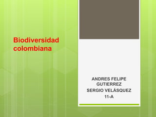 Biodiversidad
colombiana
ANDRES FELIPE
GUTIERREZ
SERGIO VELÁSQUEZ
11-A
 