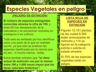 El resto de meses se denominaron según el ordinal al que correspondían.  Quintilis  (julio)   se denominó al quinto mes. Pero con la muerte de Julio César recibió su nombre en su honor   (Iulius). Sextilis  (agosto), sexto mes en el calendario primitivo.  En honor del emperador Augusto, con su muerte,  se cambió su nombre por el de Augustus. September   (septiembre) séptimo mes del año en el calendario primitivo. October   (octubre) octavo mes del ano en el calendario primitivo. November  (noviembre)  noveno mes del año en el calendario primitivo. December  (diciembre) décimo mes del año en el calendario primitivo. Los romanos pusieron a Vesta, diosa del fuego y del hogar, como tutela de este mes. 