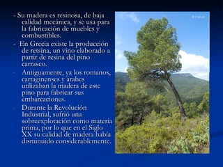 Cada mes se dividía a su vez en 3 semanas de 10 días cada una. Además, 4 meses constituían una de las 3 estaciones en las que se dividía el año. Las estaciones eran: la estación de la inundación ( Ajet ), de la germinación ( Peret ) y de la deficiencia o calor ( Shemu ).   