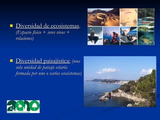 Sistema de división del tiempo e intervalos de Días, meses y años basados en los movimientos de la Tierra y las apariciones del Sol y la Luna. 